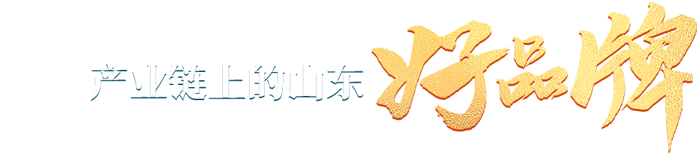 產(chǎn)業(yè)鏈上的山東好品牌