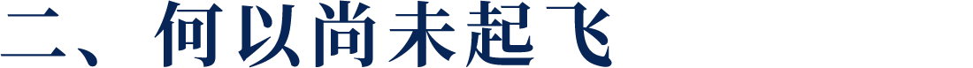 二、何以尚未起飛