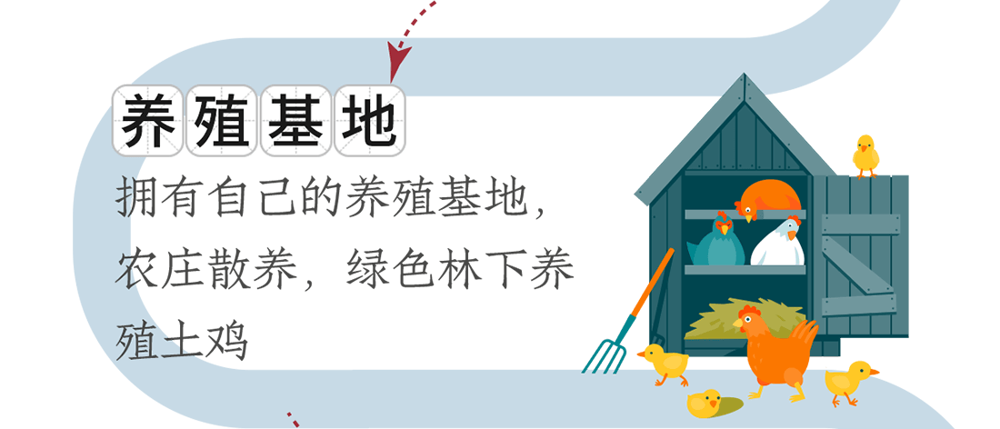 養(yǎng)殖基地。擁有自己的養(yǎng)殖基地，農(nóng)莊散養(yǎng)，綠色林下養(yǎng)殖土雞