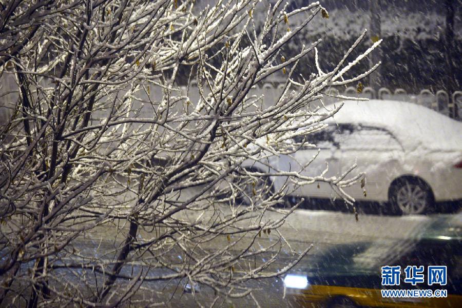 (社會)(3)春夜喜雪